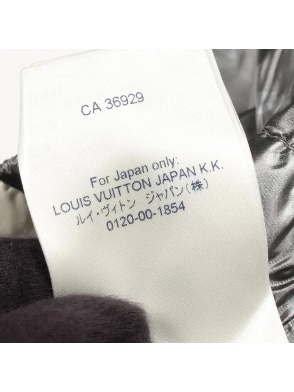 Louis Vuitton Pants Monogram